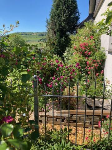 Ferienwohnung Paeusken Im Hochsauerland- E- Bike Und Auto Laden Moeglich 贝斯特维格 外观 照片